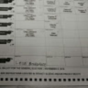 Meet your Posher, Leon beardface